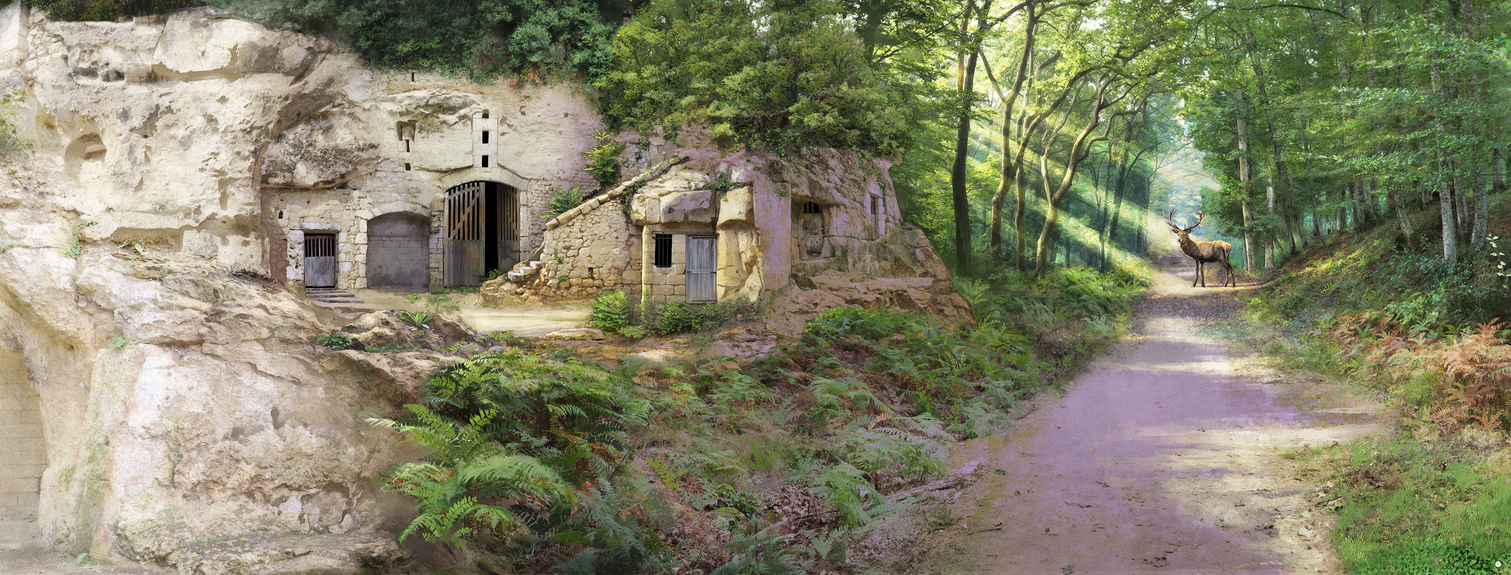 Décor troglodyte et forêt de Chambord